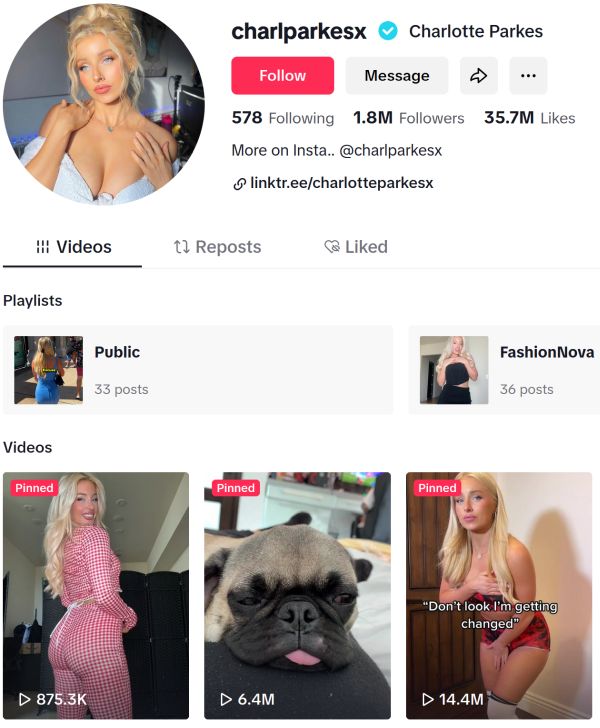 tiktok profile of charlparkesx