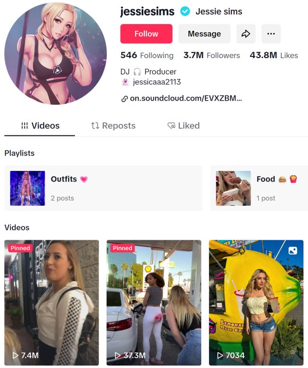tiktok profile of jessiesims