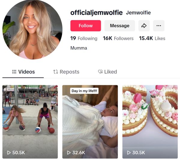 tiktok profile of officialjemwolfie