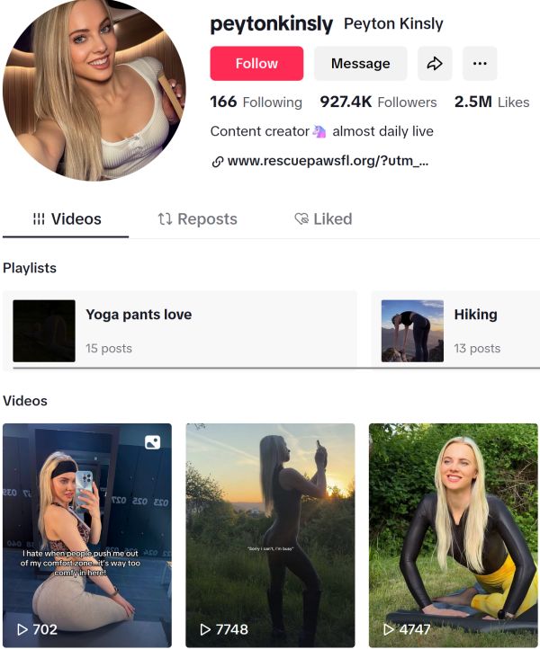 tiktok profile of peytonkinsly