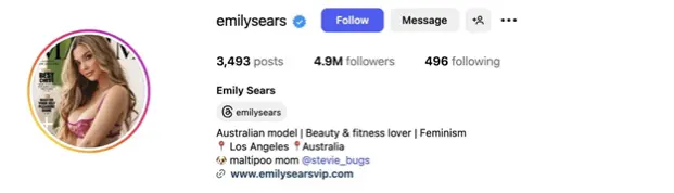 Instagram bio example from a creator profile used in OnlyFans marketing strategy, showing a short bio, emojis, and link placement