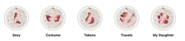 Instagram Story highlight icons used by creators to organize profile content