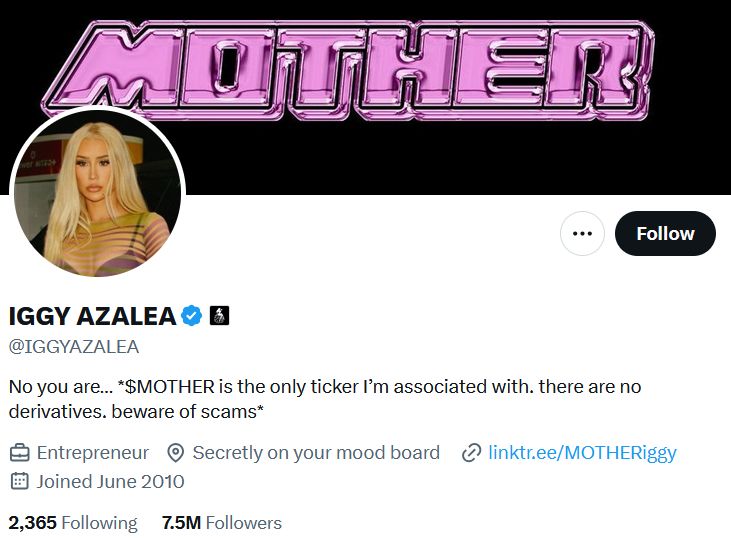 Iggy Azalea’s Twitter profile with profile picture, bio, and MOTHER banner