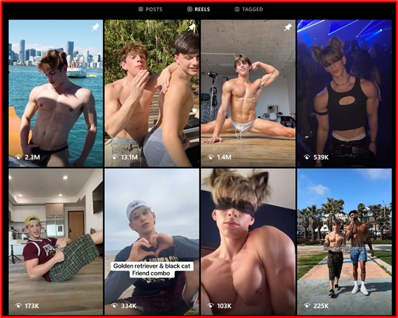 creator’s Instagram grid and reels