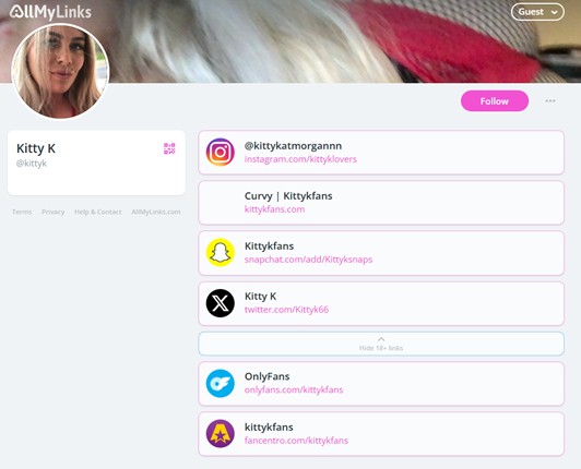 example of an AllMyLinks profile used to promote multiple social and content platforms including OnlyFans