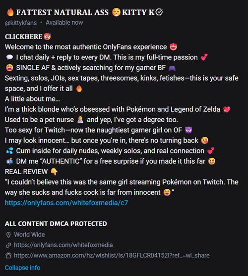 example of an OnlyFans creator bio using a stage name and curated persona