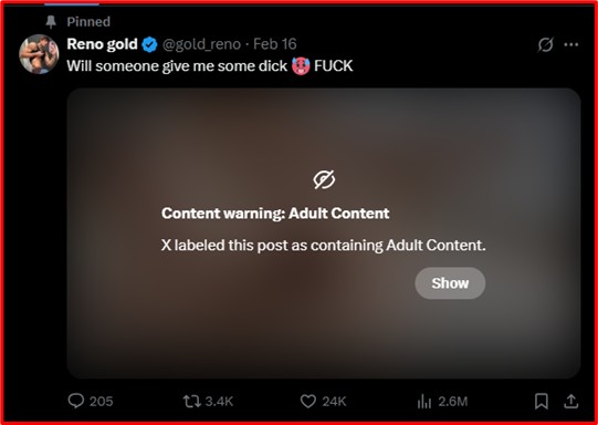 X post with adult content warning used as pinned tweet
