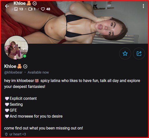 high-converting OnlyFans profile layout