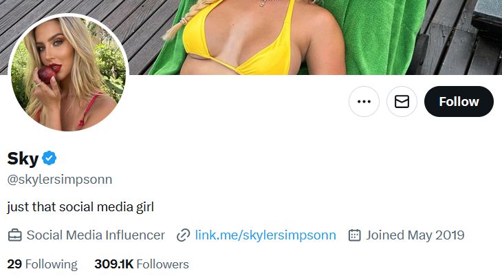 Sky’s Twitter profile with profile picture and link.me URL
