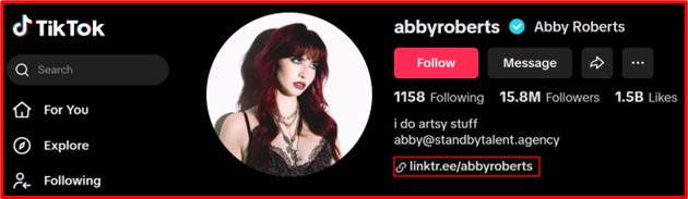 TikTok creator using link hub in bio