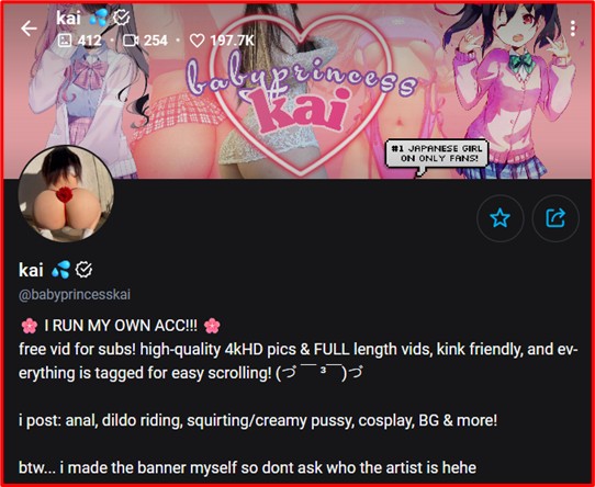 social media profile with anime banner, NSFW avatar, and fetish-friendly description